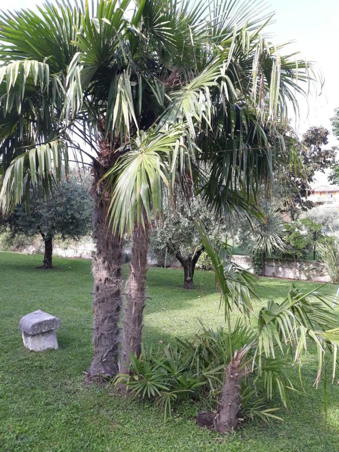 Appartamento Alice Cavaion Veronese Exterior foto