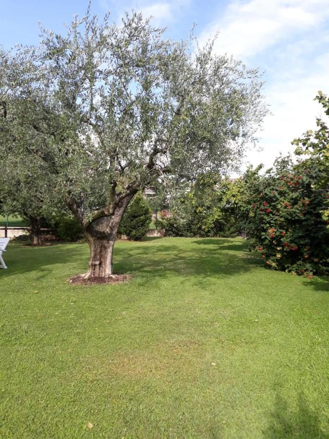 Appartamento Alice Cavaion Veronese Exterior foto